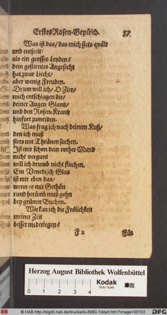 Stolle, Philipp (1614 – 1675) 1 m 2344417