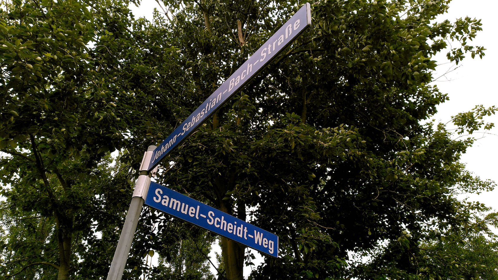 Scheidt, Samuel (1587 – 1654) 2 m 2538536