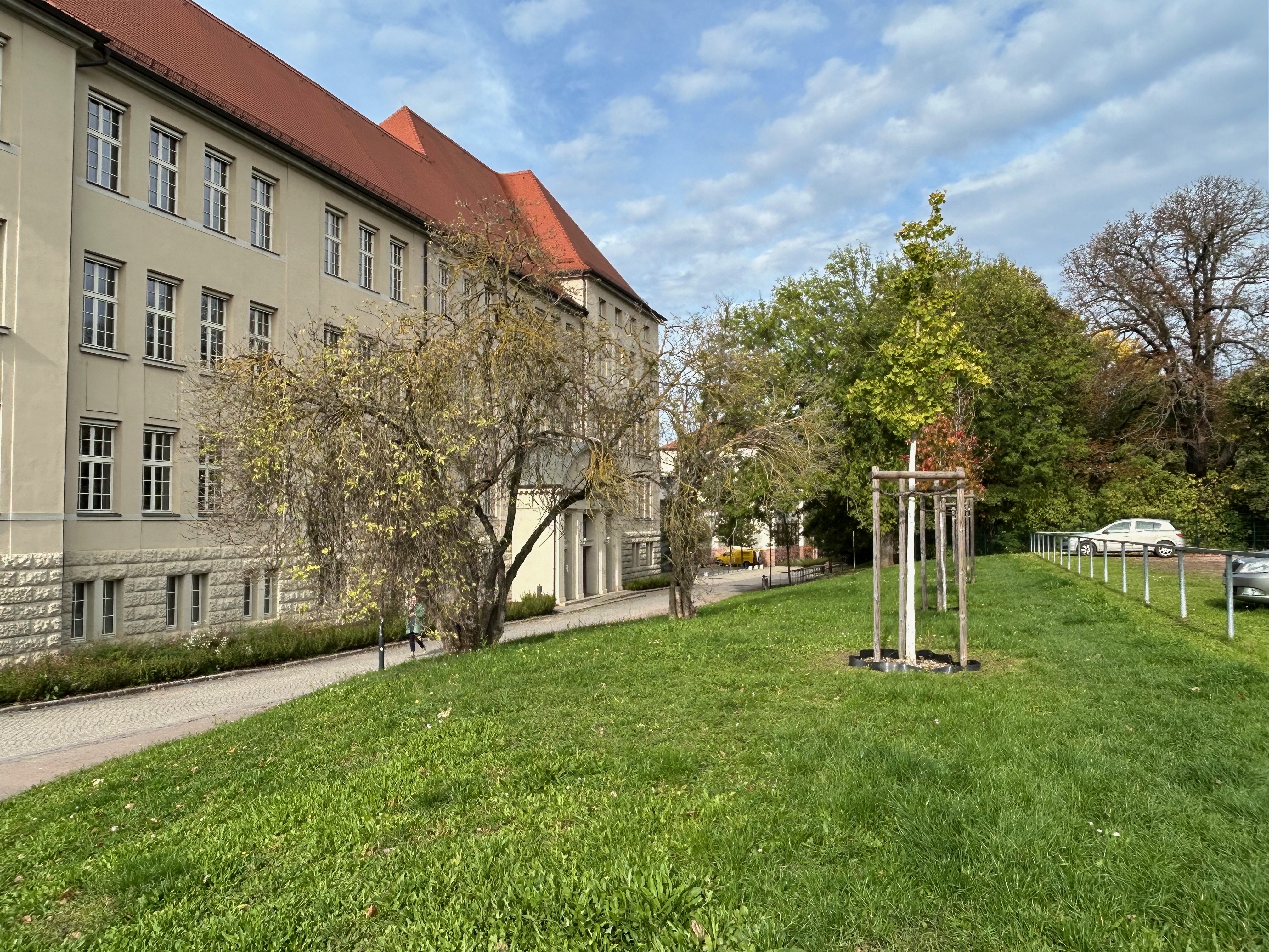 Landesgymnasium Latina August Hermann Francke – Musikzweig 1 m 3510352